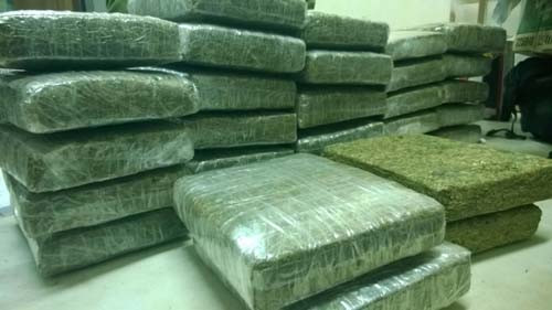 Tang vật 32 bánh cần sa trong vụ án. Ảnh: Hải Bình.