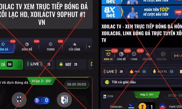 Chính phủ yêu cầu triệt phá các website vi phạm bản quyền 