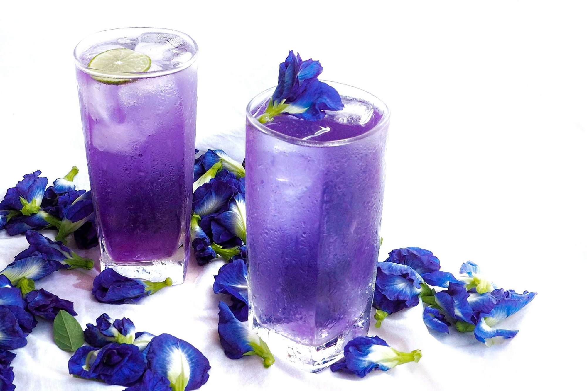 Gửi trà hoa đậu biếc đi Hồng Kông nhanh chóng – An toàn – Đúng quy định Gửi trà hoa đậu biếc đi Hồng Kông nhanh chóng – An toàn – Đúng quy định