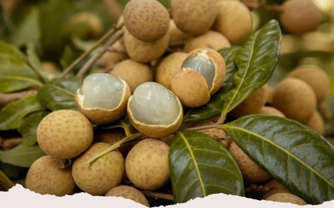 Những người tuyệt đối không nên ăn nhãn kẻo 'rước thêm bệnh vào thân' | Báo  điện tử Tiền Phong