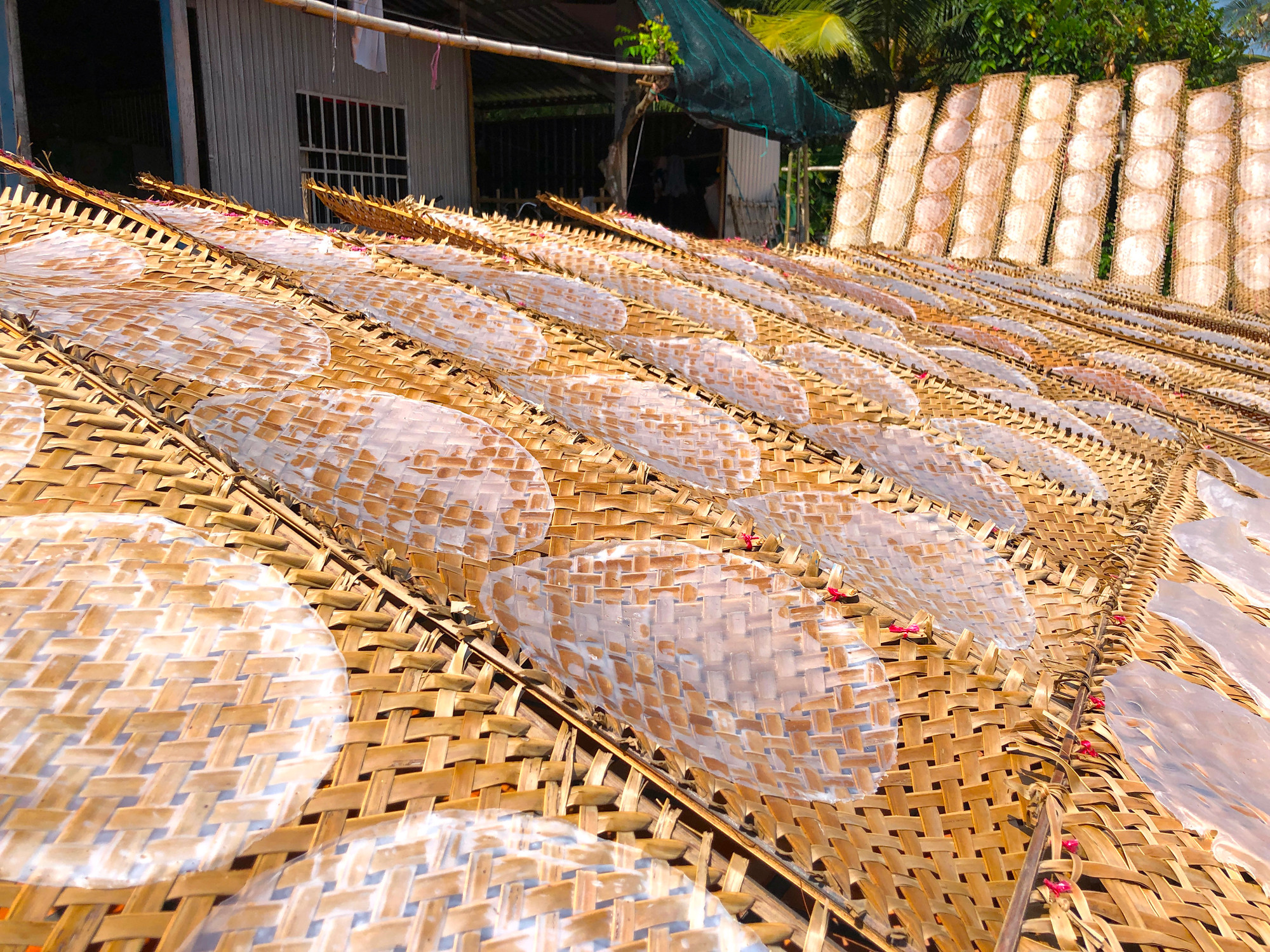 Vất vả là thế nhưng thu nhập tăng gấp đôi, gấp ba so với ngày thường. Nếu bình thường tráng 3 - 5 ngày là nghỉ đến khi bán hết bánh mới tráng tiếp nên trung bình mỗi ngày bà Giáo chỉ thu lãi 200.000 – 300.000 đồng. Nhưng vào đợt Tết, mỗi ngày bà có thể lãi hơn 1 triệu đồng. Vì vậy nên ở làng nghề bánh tráng ai cũng háo hức, tranh thủ làm để gia tăng thu nhập dịp Tết - Ảnh: Kim Hà. Vất vả là thế nhưng thu nhập tăng gấp đôi, gấp ba so với ngày thường. Nếu bình thường tráng 3 - 5 ngày là nghỉ đến khi bán hết bánh mới tráng tiếp nên trung bình mỗi ngày bà Giáo chỉ thu lãi 200.000 – 300.000 đồng. Nhưng vào đợt Tết, mỗi ngày bà có thể lãi hơn 1 triệu đồng. Vì vậy nên ở làng nghề bánh tráng ai cũng háo hức, tranh thủ làm để gia tăng thu nhập dịp Tết - Ảnh: Kim Hà.