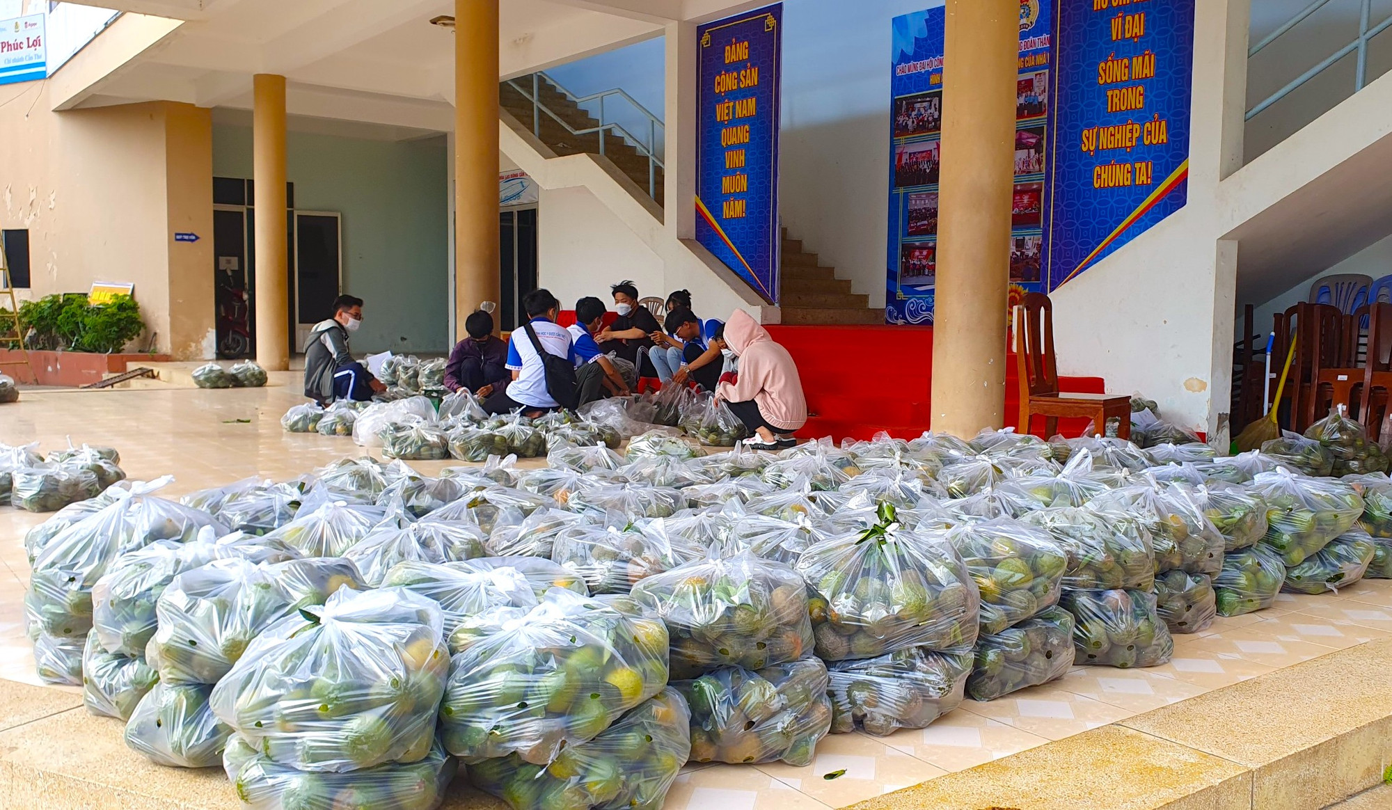 Sau 3 ngày, Trung tâm Hỗ trợ Học sinh Sinh viên Cần Thơ và Công an TP Cần Thơ đã giúp nông dân tiêu thụ 12 tấn cam sành.