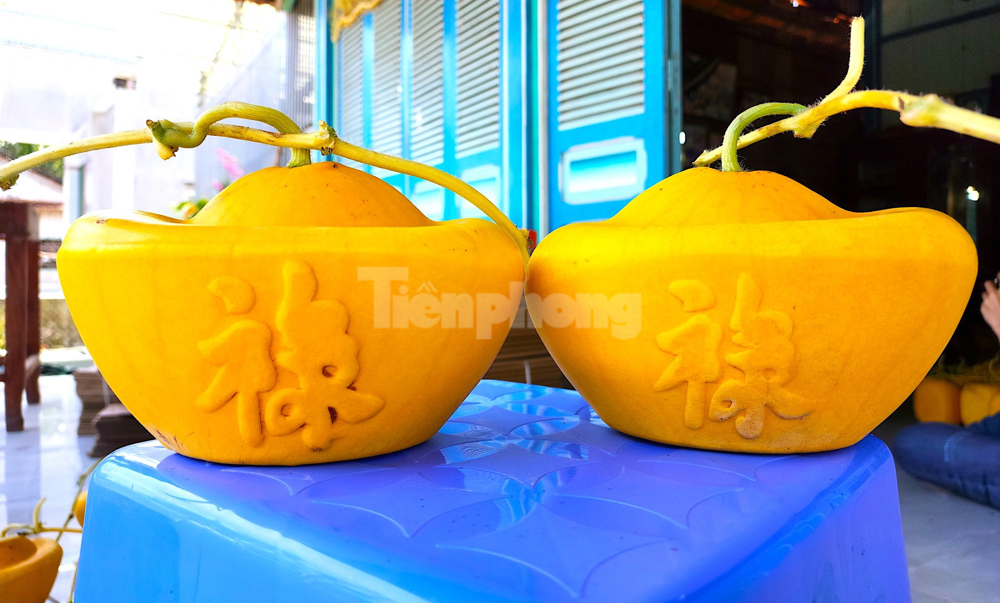 Ban đầu, ông Cưng chỉ làm dưa hấu hình vuông đơn thuần bằng khuôn gỗ. Dần dần để nâng tầm sản phẩm, ông khắc chữ vào khuôn để trái dưa hấu thêm bắt mắt. Với nguyên lý nén trái trong khuôn gỗ để tạo hình, ông Cưng tiếp tục cho ra đời sản phẩm dưa hấu hình thỏi vàng để phục vụ nhu cầu chưng Tết của khách hàng (Ảnh: Kim Hà).