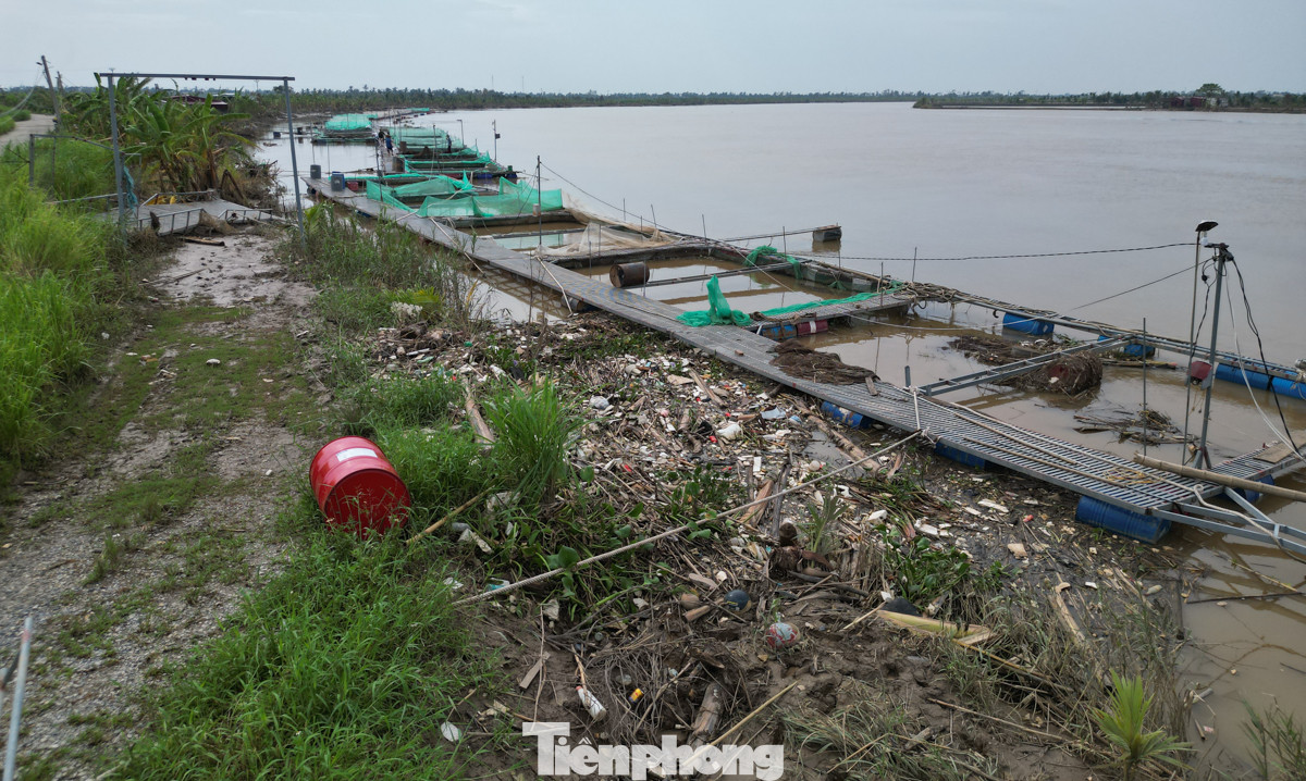 Theo người nuôi cá lồng ở đây chia sẻ, nuôi cá trở thành nghề nghiệp của người dân xã Hà Thanh, dù thiệt hại lớn, nhưng không bỏ được, phải tiếp tục vay vốn sửa chữa lồng cá tiếp tục sản xuất.