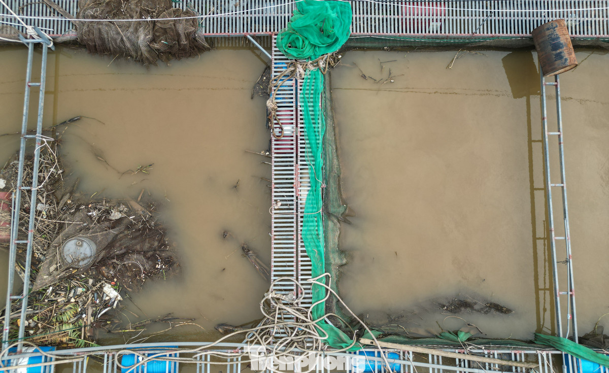 Ông Nguyễn Trung Kiên, Chủ tịch Hội nông dân xã Hà Thanh cho biết, hiện nay nguồn vốn trong dân đã cạn kiệt, tất cả vốn liếng tập trung đầu tư xây dựng vào chuối xuất khẩu, chuối tiêu hồng phục vụ Tết nguyên đán sắp tới và đầu tư lồng cá sản xuất. Người dân mong muốn ngân hàng tạo điều kiện cho người dân vay vốn với lãi suất ưu đãi để tái sản xuất.