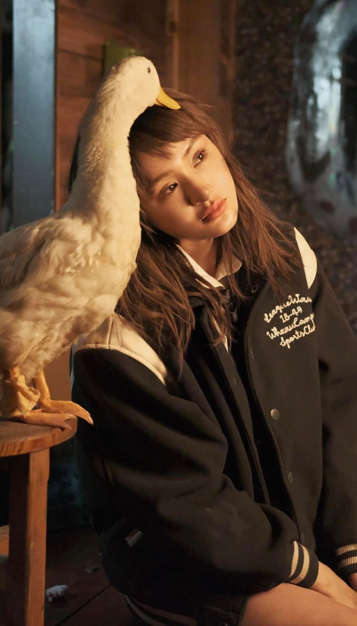 Các nhãn hàng, show diễn đang đưa Hiền Hồ vào "blacklist".