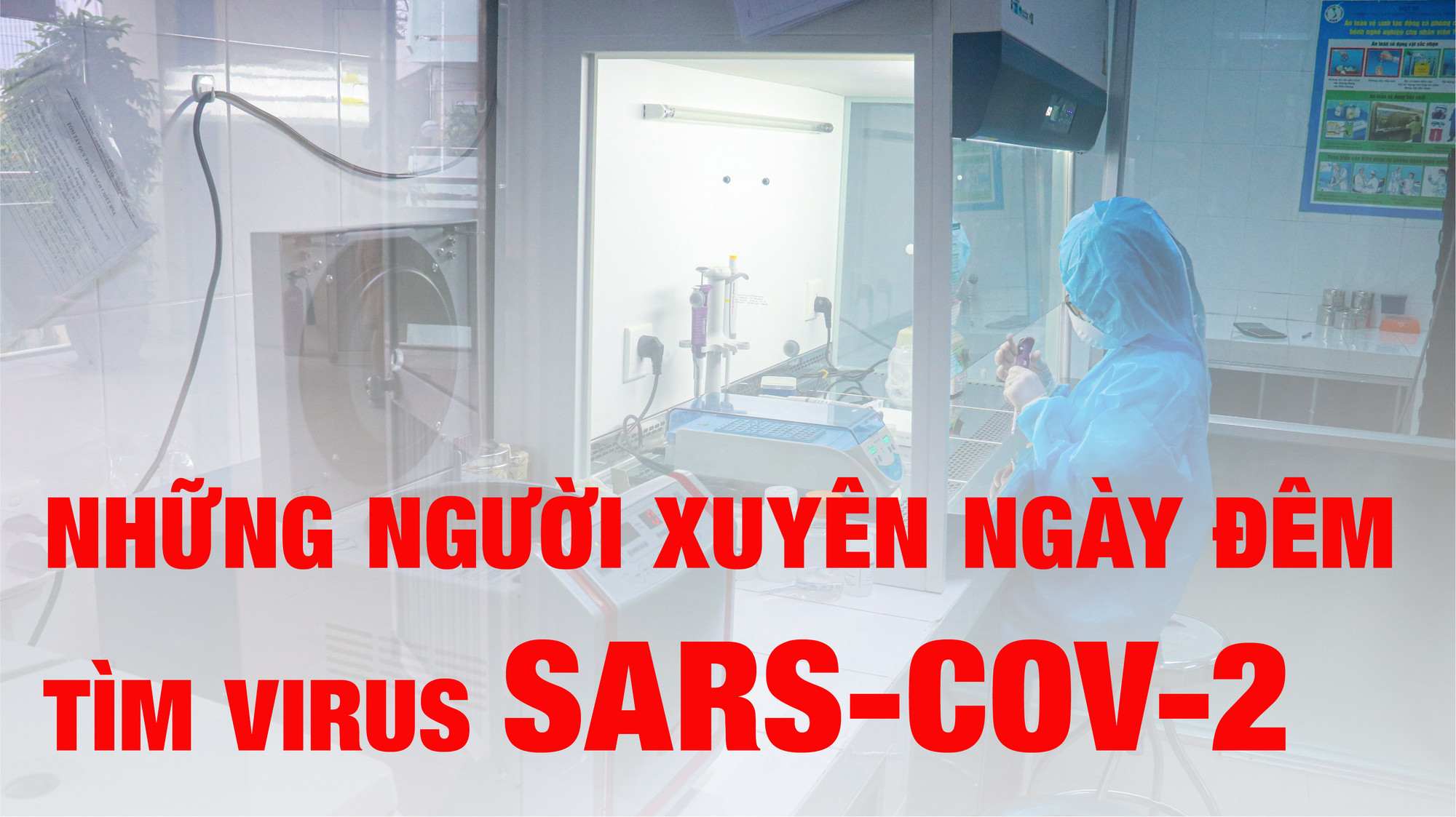 Những người ngày đêm tìm virus SARS-CoV-2 
