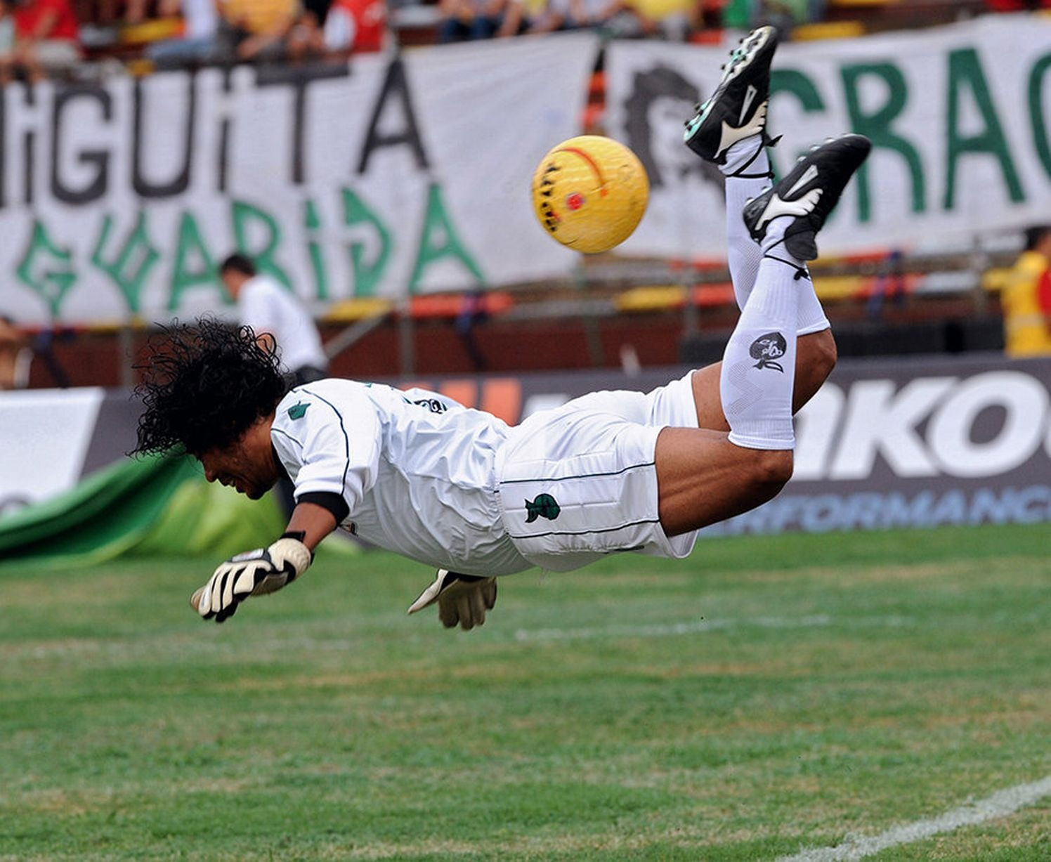 Higuita tái hiện pha cản phá vua bò cạp trong trận đấu chia tay ngày 24/1/2010. Higuita tái hiện pha cản phá vua bò cạp trong trận đấu chia tay ngày 24/1/2010.