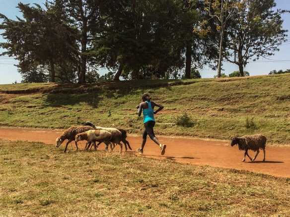 Những thanh niên ở Thung lũng Rift tập luyện 3 buổi mỗi ngày, không ngừng nghỉ ngay cả khi đã trở thành ngôi sao thế giới. (Ảnh: Getty Images) Những thanh niên ở Thung lũng Rift tập luyện 3 buổi mỗi ngày, không ngừng nghỉ ngay cả khi đã trở thành ngôi sao thế giới. (Ảnh: Getty Images)