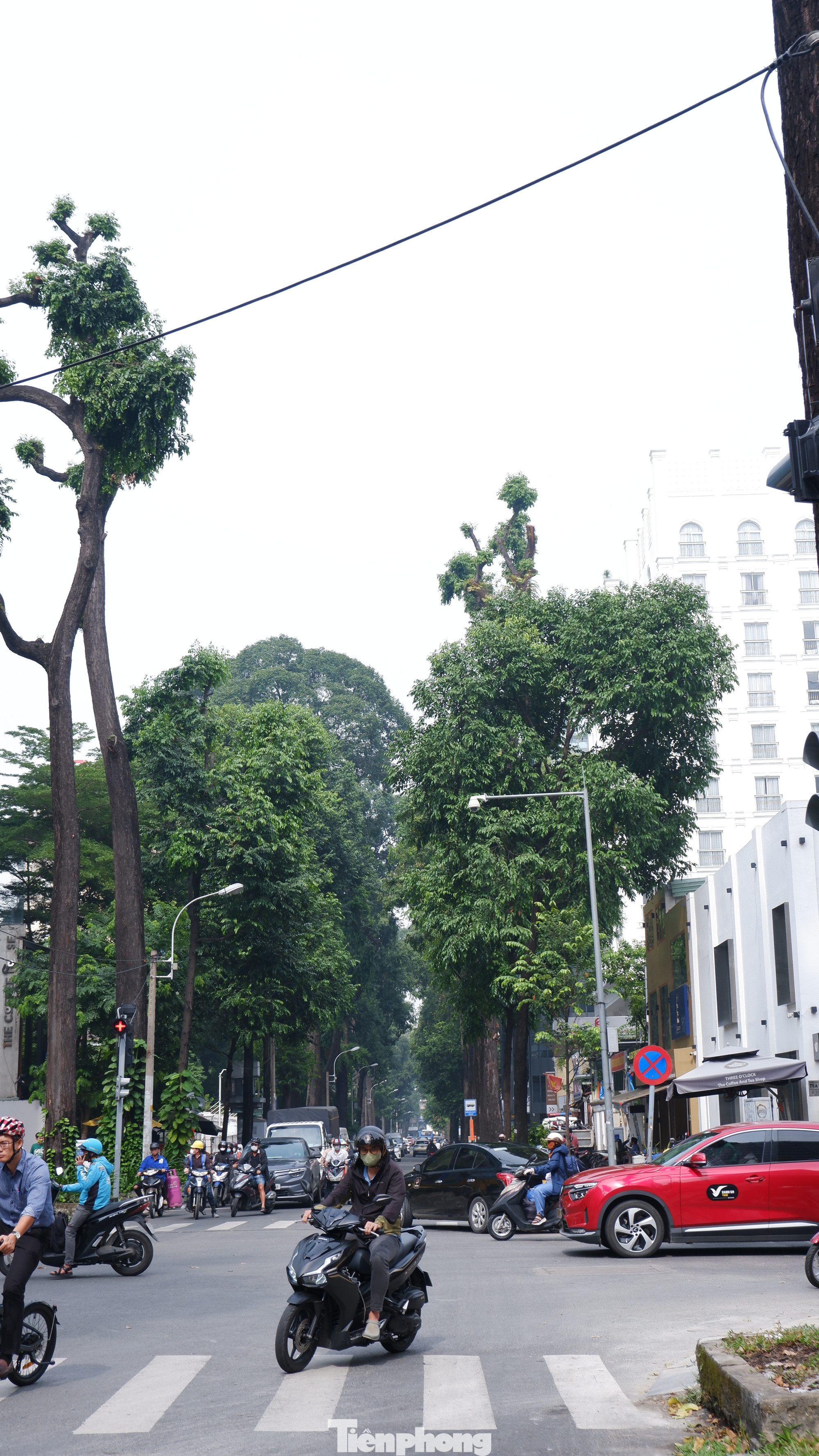 Sương mù ở tuyến đường Phạm Ngọc Thạch, quận 3. Ảnh: Hữu Huy Sương mù ở tuyến đường Phạm Ngọc Thạch, quận 3. Ảnh: Hữu Huy