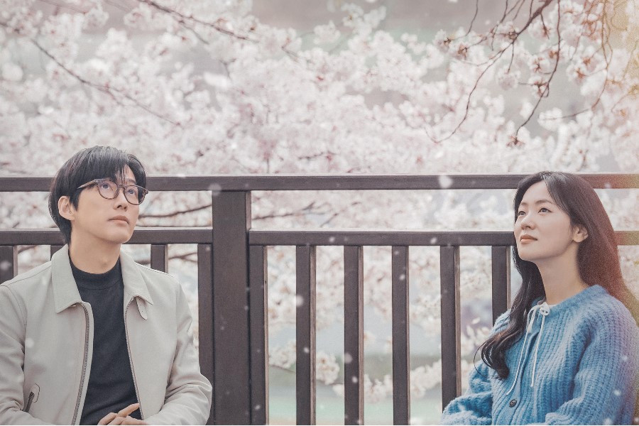 Trong khi hoa anh đào nở rộ vào mỗi mùa Xuân, mỗi cánh hoa rơi đều mang một ý nghĩa đặc biệt đối với Lee Da Eum, người không còn nhiều thời gian nữa, và Lee Je Ha, người chọn yêu cô bất chấp điều đó. Những cảm xúc chân thành của họ thể hiện rõ khi họ đón nhận cả bộ phim và tình yêu của mình giống như câu khẩu hiệu: "Như thể hôm nay là ngày cuối cùng".