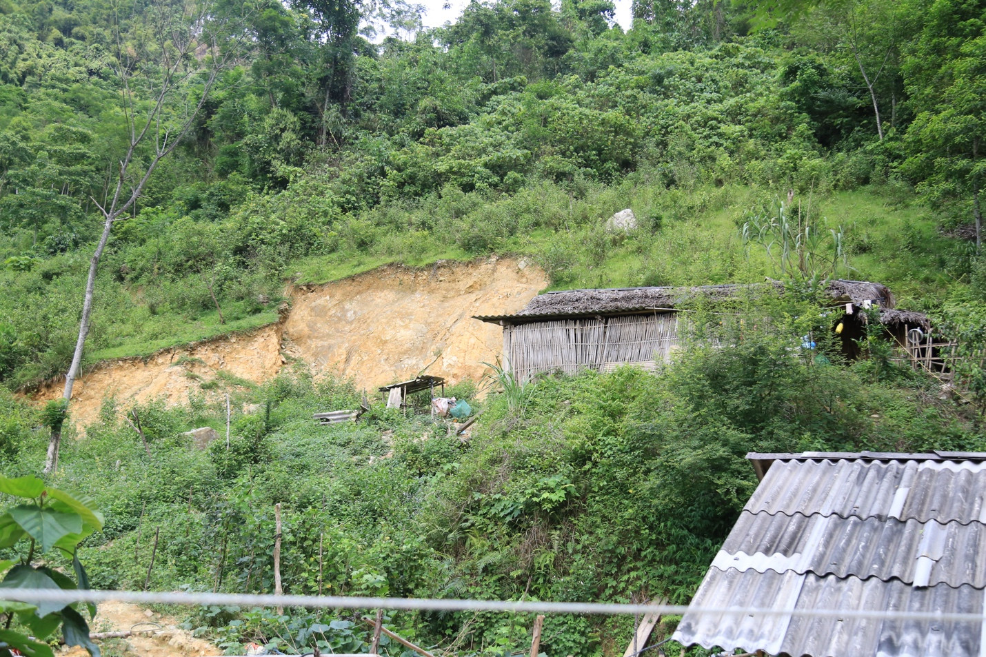 Nỗi lo 'Sơn thần' nổi giận - Bài 3: Những giải pháp cấp bách và lâu dài ảnh 2