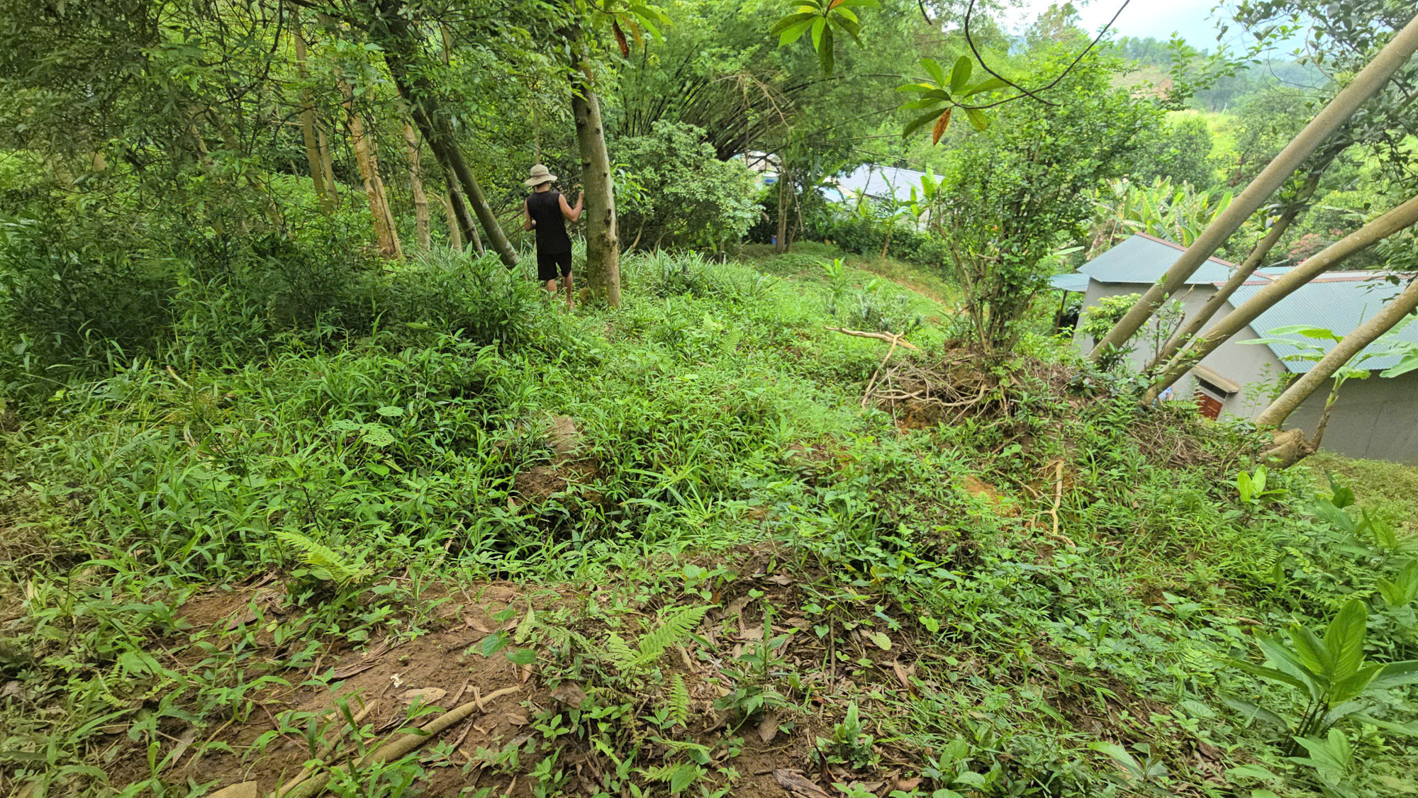 Vết nứt chính chạy dọc từ mép đồi cao xuống sát vách nhà, chỗ rộng nhất gần bằng cổ tay người lớn trên đồi phía sau 9 hộ dân thôn Phú Hùng, xã Gia Phú. Vết nứt chính chạy dọc từ mép đồi cao xuống sát vách nhà, chỗ rộng nhất gần bằng cổ tay người lớn trên đồi phía sau 9 hộ dân thôn Phú Hùng, xã Gia Phú.