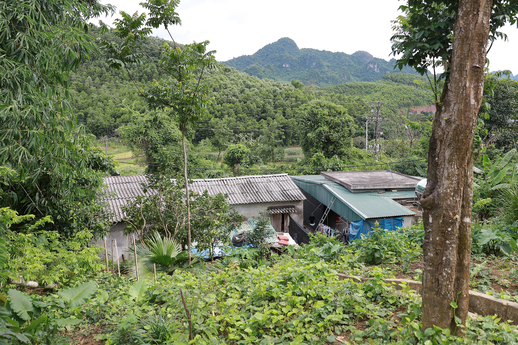 Trời mưa dài ngày, khối đất đá có thể sạt xuống vùi lấp 7 ngôi nhà