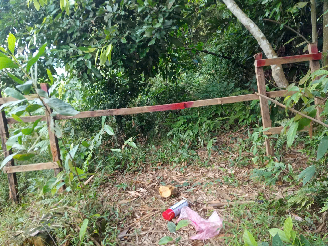 Mô hình cảnh báo sạt lở bằng gỗ đặt tại Tri Phú do chuyên gia Nhật Bản hướng dẫn