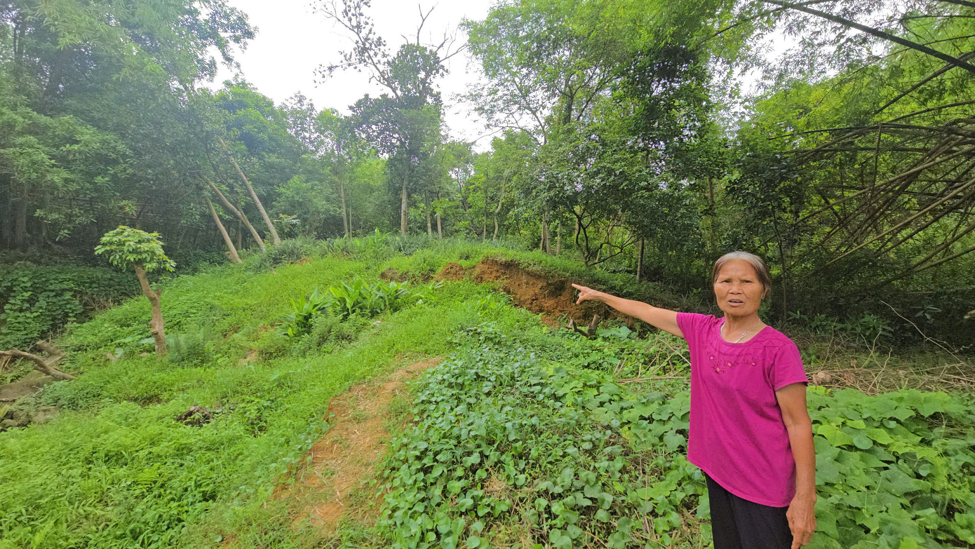Vết nứt chính chạy dọc từ mép đồi cao xuống sát vách nhà, chỗ rộng nhất gần bằng cổ tay người lớn trên đồi phía sau 9 hộ dân thôn Phú Hùng, xã Gia Phú. Vết nứt chính chạy dọc từ mép đồi cao xuống sát vách nhà, chỗ rộng nhất gần bằng cổ tay người lớn trên đồi phía sau 9 hộ dân thôn Phú Hùng, xã Gia Phú.