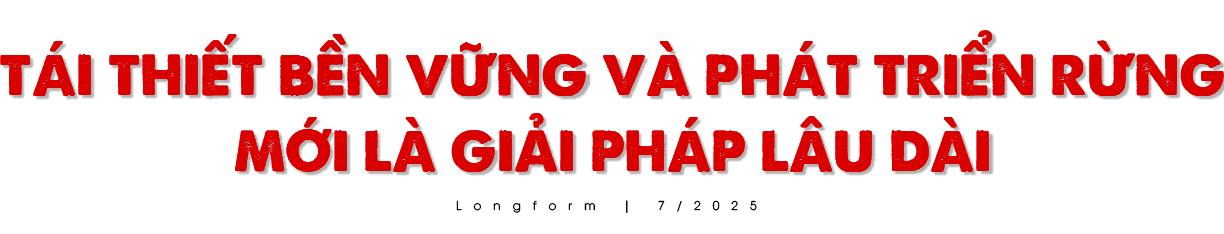 Nỗi lo 'Sơn thần' nổi giận - Bài 3: Những giải pháp cấp bách và lâu dài ảnh 13