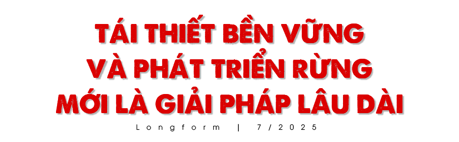 Nỗi lo 'Sơn thần' nổi giận - Bài 3: Những giải pháp cấp bách và lâu dài ảnh 12