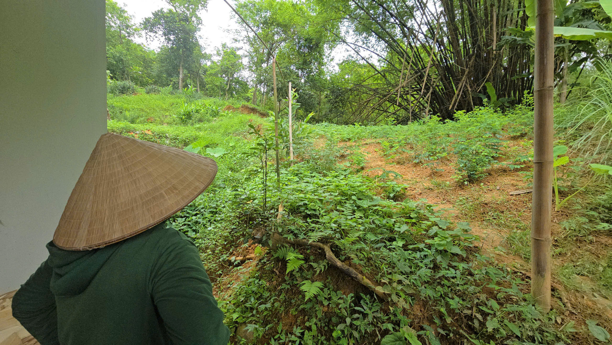 Vết nứt chính chạy dọc từ mép đồi cao xuống sát vách nhà, chỗ rộng nhất gần bằng cổ tay người lớn trên đồi phía sau 9 hộ dân thôn Phú Hùng, xã Gia Phú. Vết nứt chính chạy dọc từ mép đồi cao xuống sát vách nhà, chỗ rộng nhất gần bằng cổ tay người lớn trên đồi phía sau 9 hộ dân thôn Phú Hùng, xã Gia Phú.