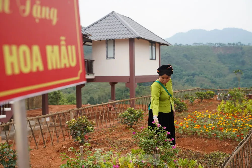 Nỗi lo 'Sơn thần' nổi giận - Bài 3: Những giải pháp cấp bách và lâu dài ảnh 20