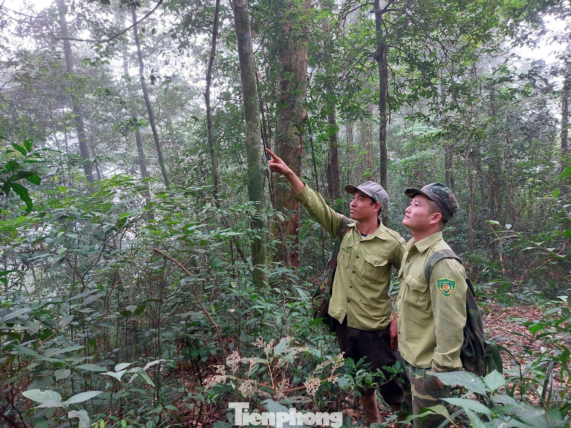 Cán bộ Vườn quốc gia Vũ Quang vào các khu vực rừng sâu đặt bẫy ảnh. Cán bộ Vườn quốc gia Vũ Quang vào các khu vực rừng sâu đặt bẫy ảnh.