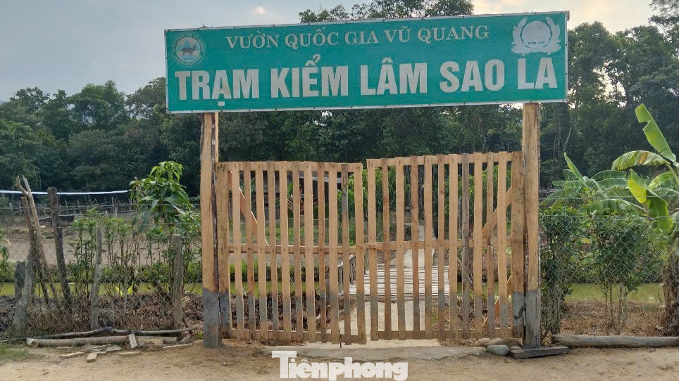 Trạm kiểm lâm Sao La được đặt dưới dãy núi Trường Sơn hùng vĩ, nằm giữa lòng hồ Ngàn Trươi. Trạm kiểm lâm Sao La được đặt dưới dãy núi Trường Sơn hùng vĩ, nằm giữa lòng hồ Ngàn Trươi.