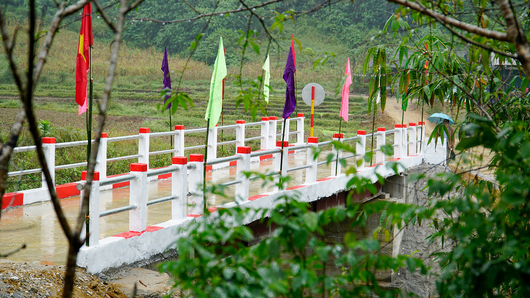 Quỹ Vì Tầm Vóc Việt: Hành trình 10 năm thấu hiểu, yêu thương và hành động kiến tạo sự thay đổi ảnh 21