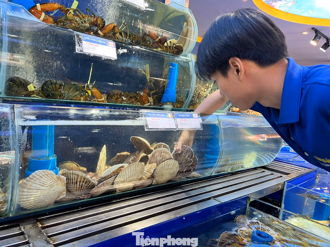 King Carb, bào ngư sống... đắt hàng dịp Tết