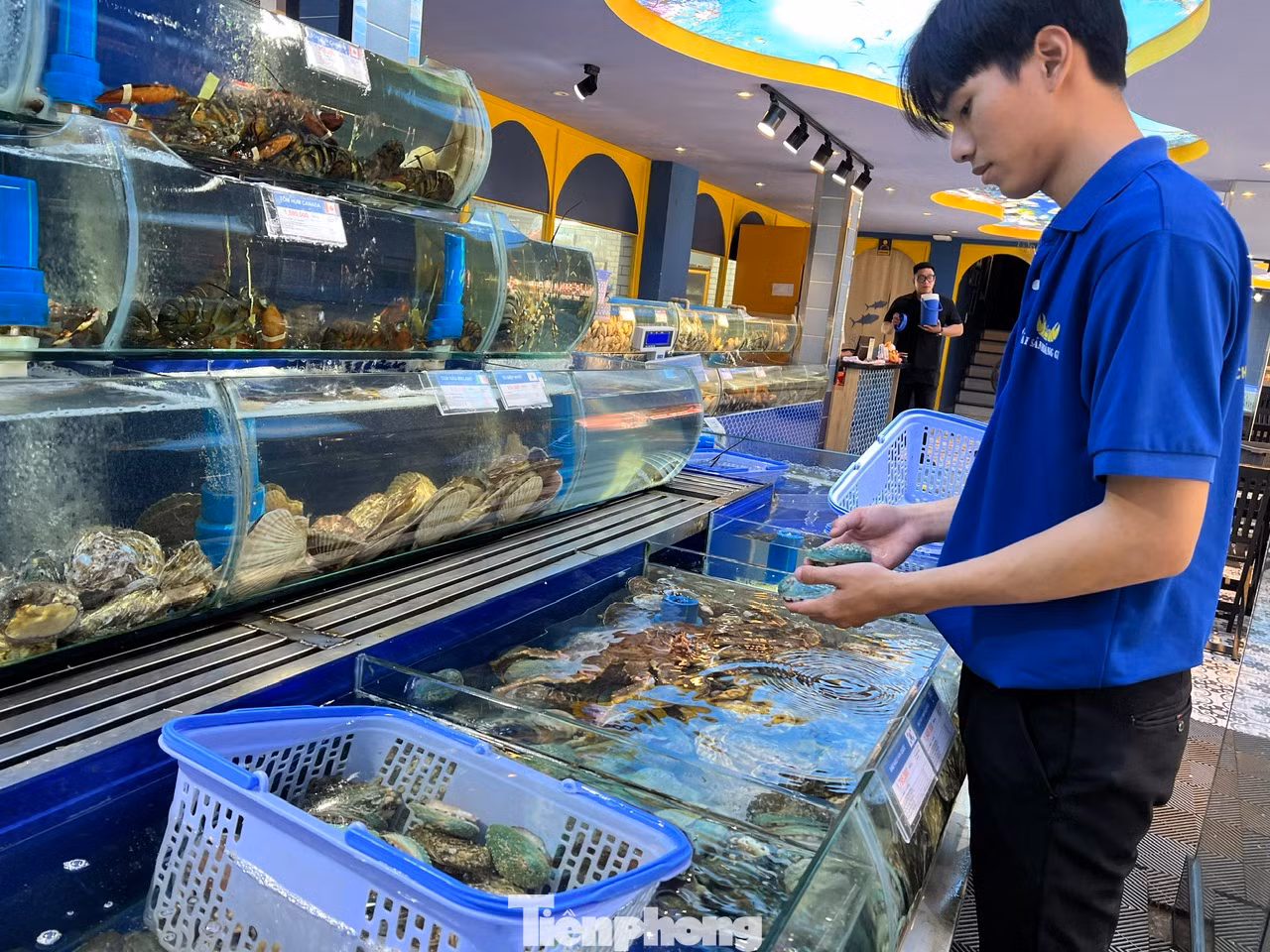 Một cửa hàng hải sản cao cấp mở cửa phục vụ xuyên Tết, bao chế biến để khách hàng thưởng thức hoặc thết đãi bạn bè, người thân trong những ngày này.