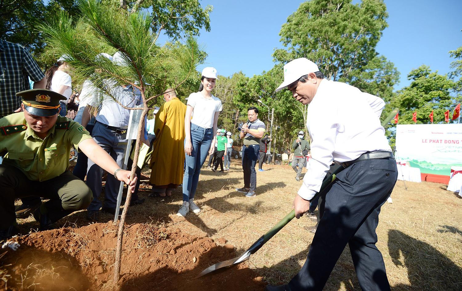 Chương trình đã lựa chọn trồng cây thông - loài cây bản địa và gắn bó với khu vực Biển Hồ.