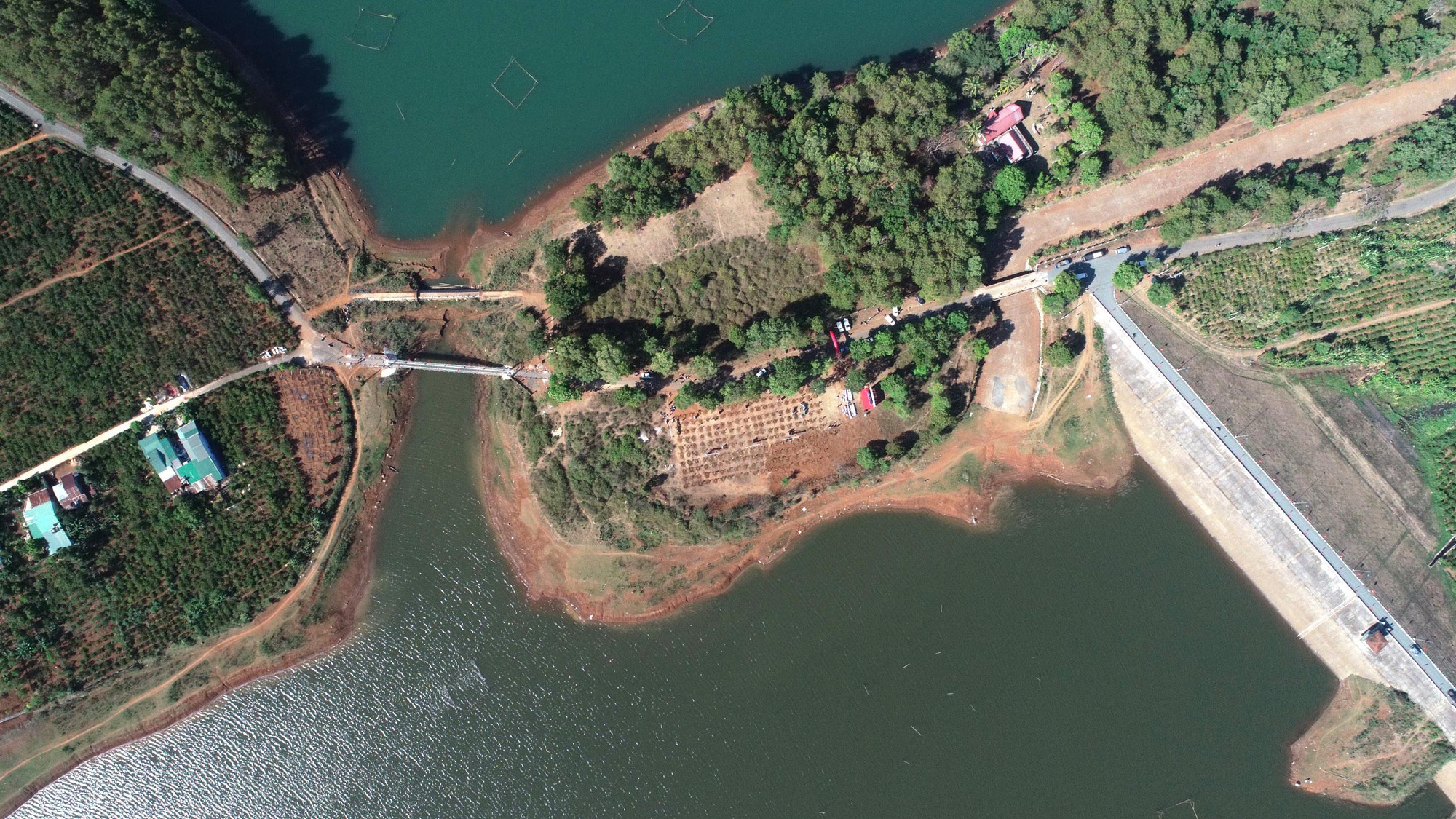 Chương trình trồng cây góp phần phủ xanh diện tích đất trống và bảo vệ cảnh quan môi trường khu vực Biển Hồ