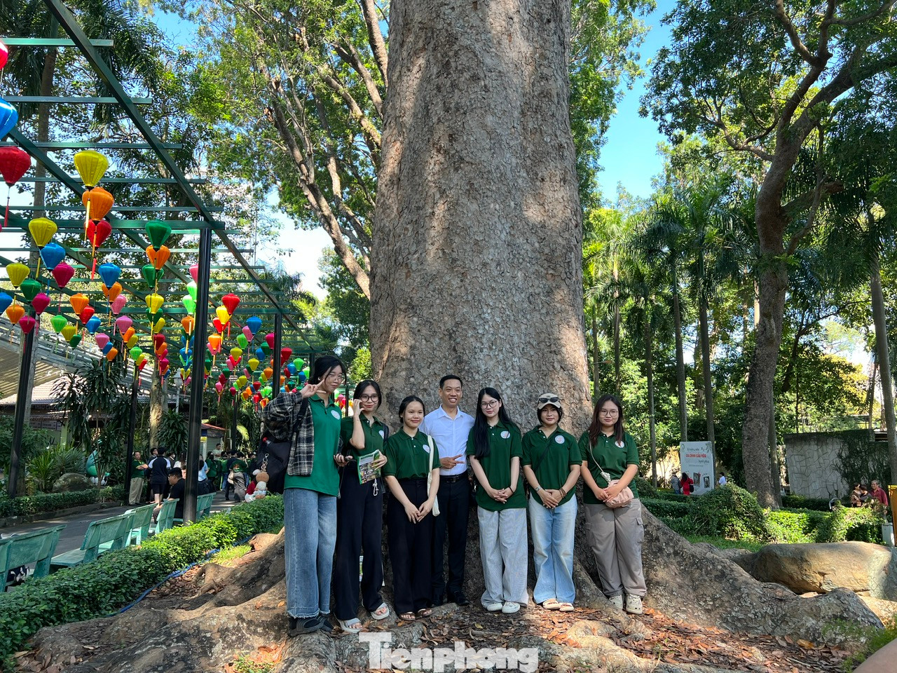 Các bạn trẻ nhộn nhịp "check-in" với một gốc cây xà cừ có tuổi đời hơn 100 năm Các bạn trẻ nhộn nhịp "check-in" với một gốc cây xà cừ có tuổi đời hơn 100 năm