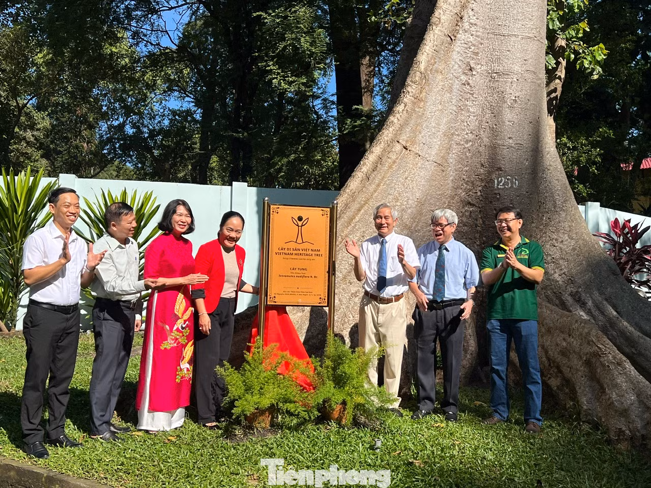 Thảo cầm viên Sài Gòn vừa có 8 cây cổ thụ được công nhận là cây di sản Việt Nam