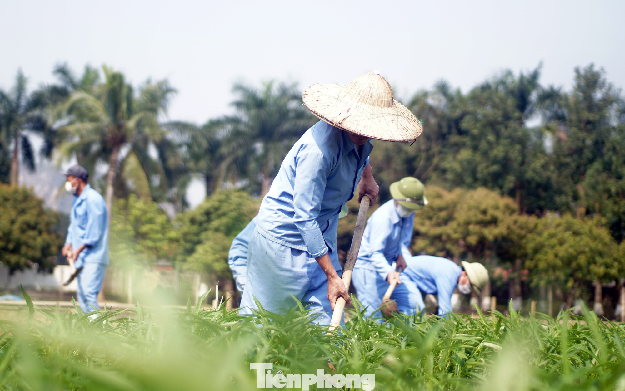 Sau khi có tiến triển trong quá trình điều trị nhiều học viên có thành tích tốt được tham gia tăng gia sản xuất, làm việc...