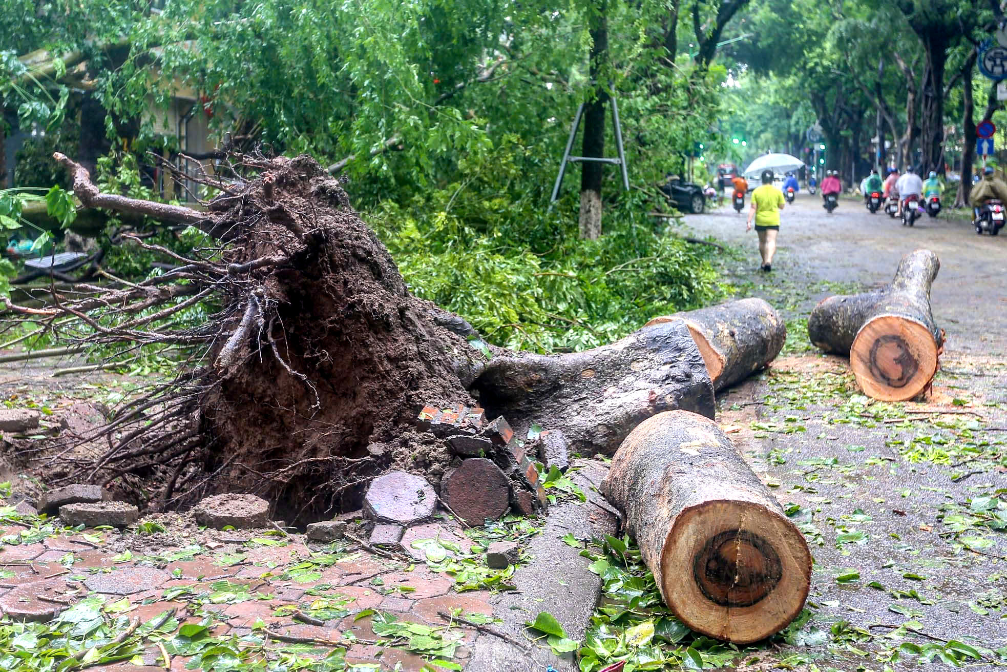 Cây gãy đổ trên địa bàn thành phố Hà Nội. Ảnh: Duy Phạm Cây gãy đổ trên địa bàn thành phố Hà Nội. Ảnh: Duy Phạm