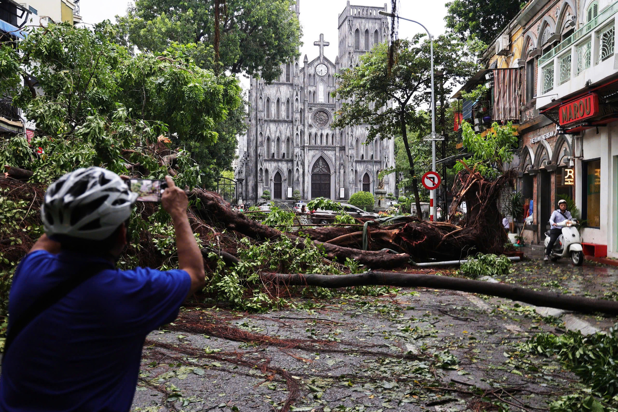 Cổ thụ gần Nhà thờ lớn Hà Nội bị đổ, gây nhiều nuối tiếc. Ảnh: Đức Nguyễn Cổ thụ gần Nhà thờ lớn Hà Nội bị đổ, gây nhiều nuối tiếc. Ảnh: Đức Nguyễn
