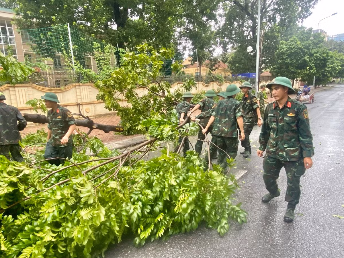 Dọn dẹp cây đổ sau bão ở Hà Nội. Dọn dẹp cây đổ sau bão ở Hà Nội.