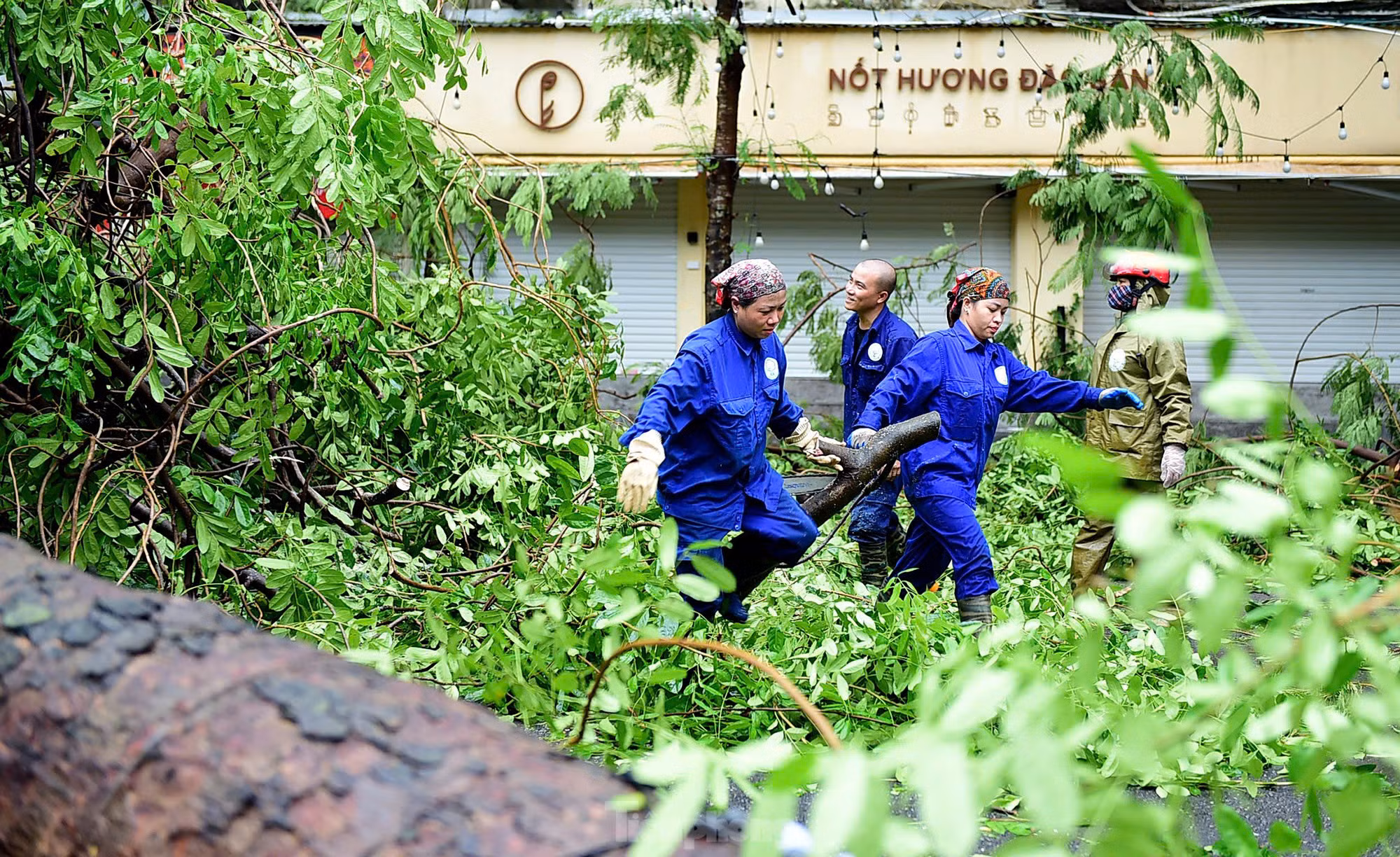 Dọn dẹp cây đổ sau bão ở Hà Nội. Dọn dẹp cây đổ sau bão ở Hà Nội.