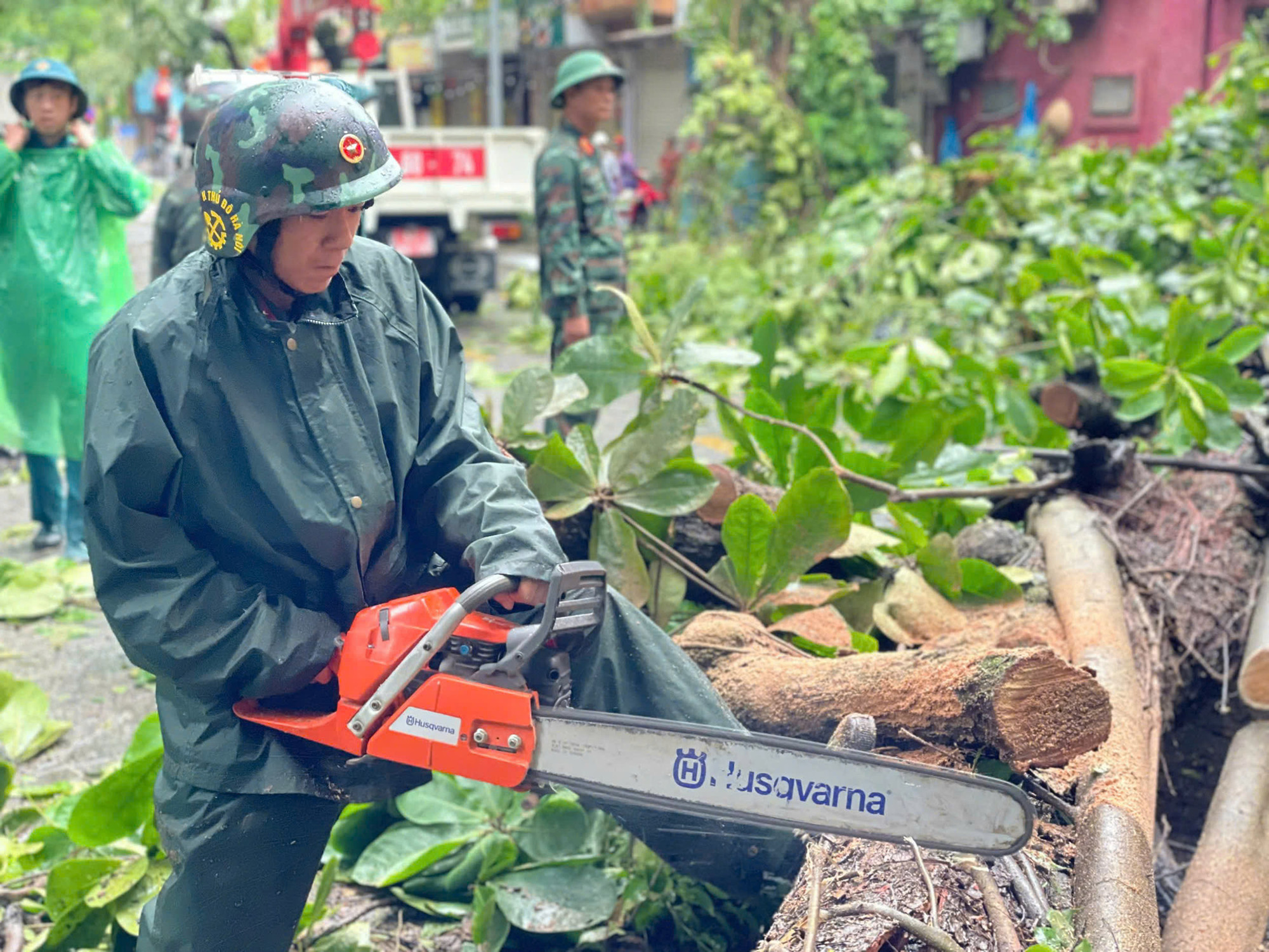 Dọn dẹp cây đổ sau bão. Ảnh: Dương Triều Dọn dẹp cây đổ sau bão. Ảnh: Dương Triều