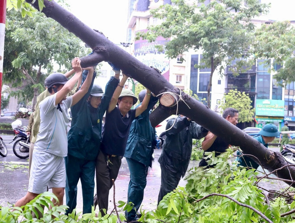 Dọn dẹp cây đổ sau bão ở Hà Nội. Dọn dẹp cây đổ sau bão ở Hà Nội.