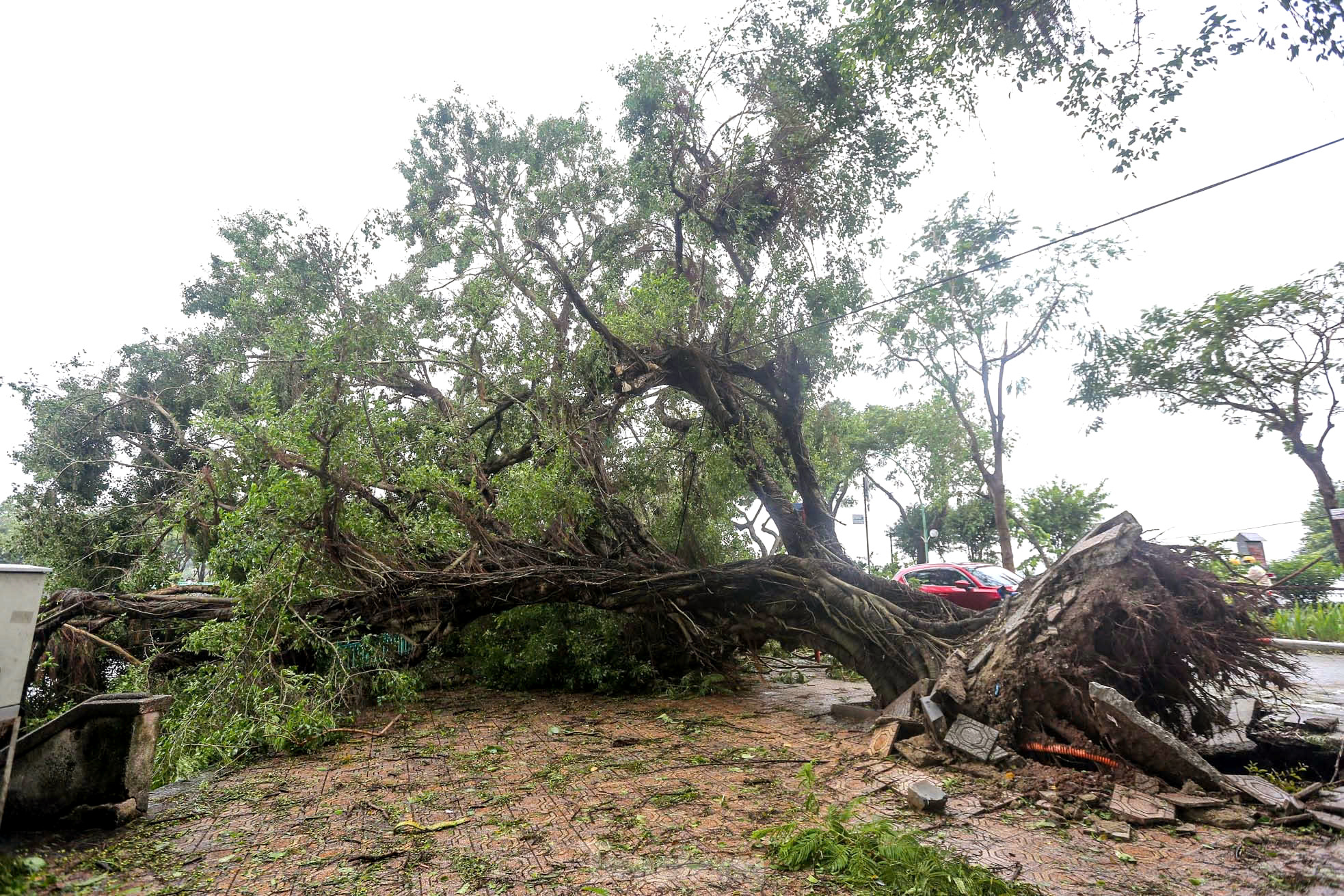 Cây gãy đổ trên địa bàn thành phố Hà Nội. Ảnh: Duy Phạm Cây gãy đổ trên địa bàn thành phố Hà Nội. Ảnh: Duy Phạm