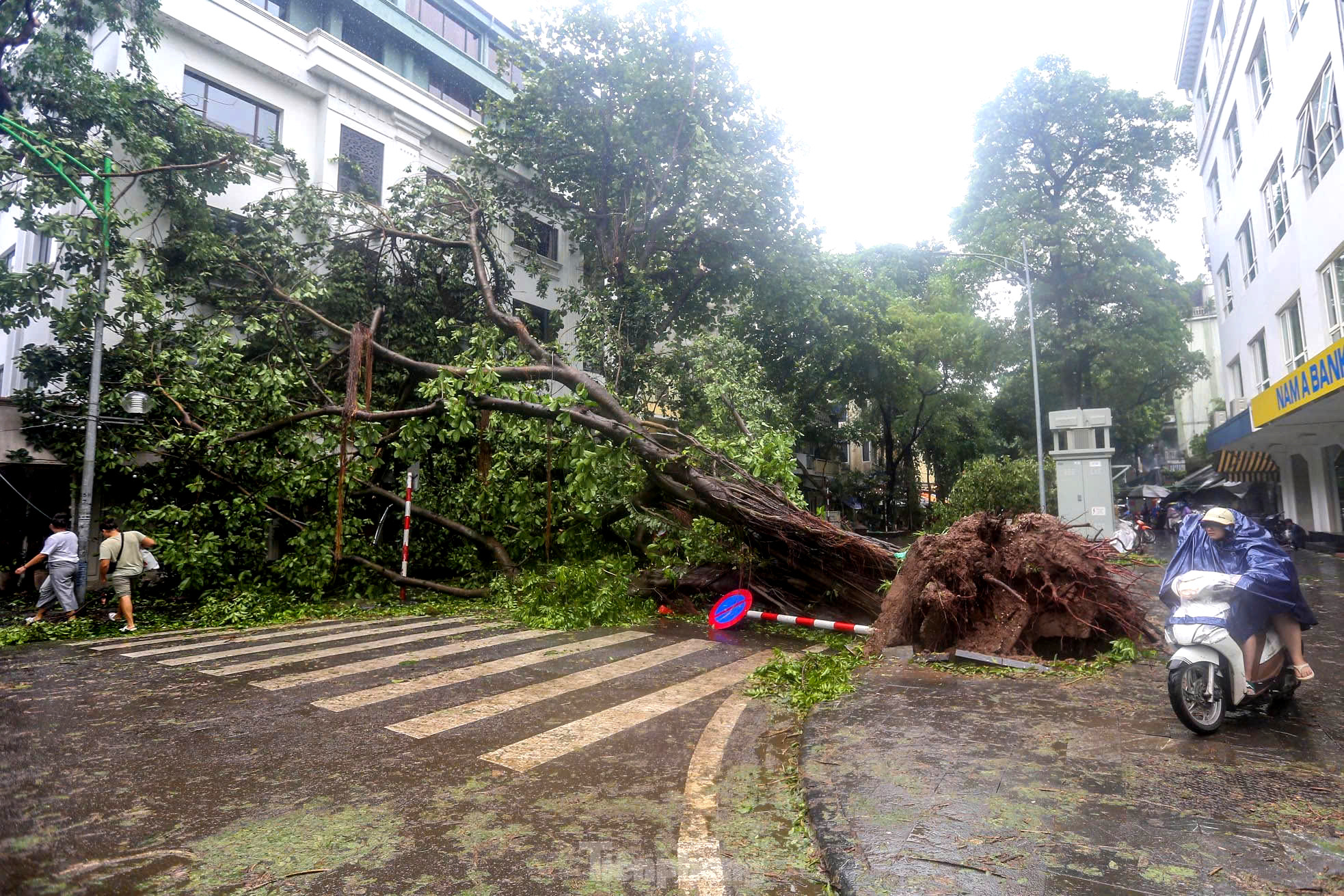 Cây gãy đổ trên địa bàn thành phố Hà Nội. Ảnh: Duy Phạm Cây gãy đổ trên địa bàn thành phố Hà Nội. Ảnh: Duy Phạm