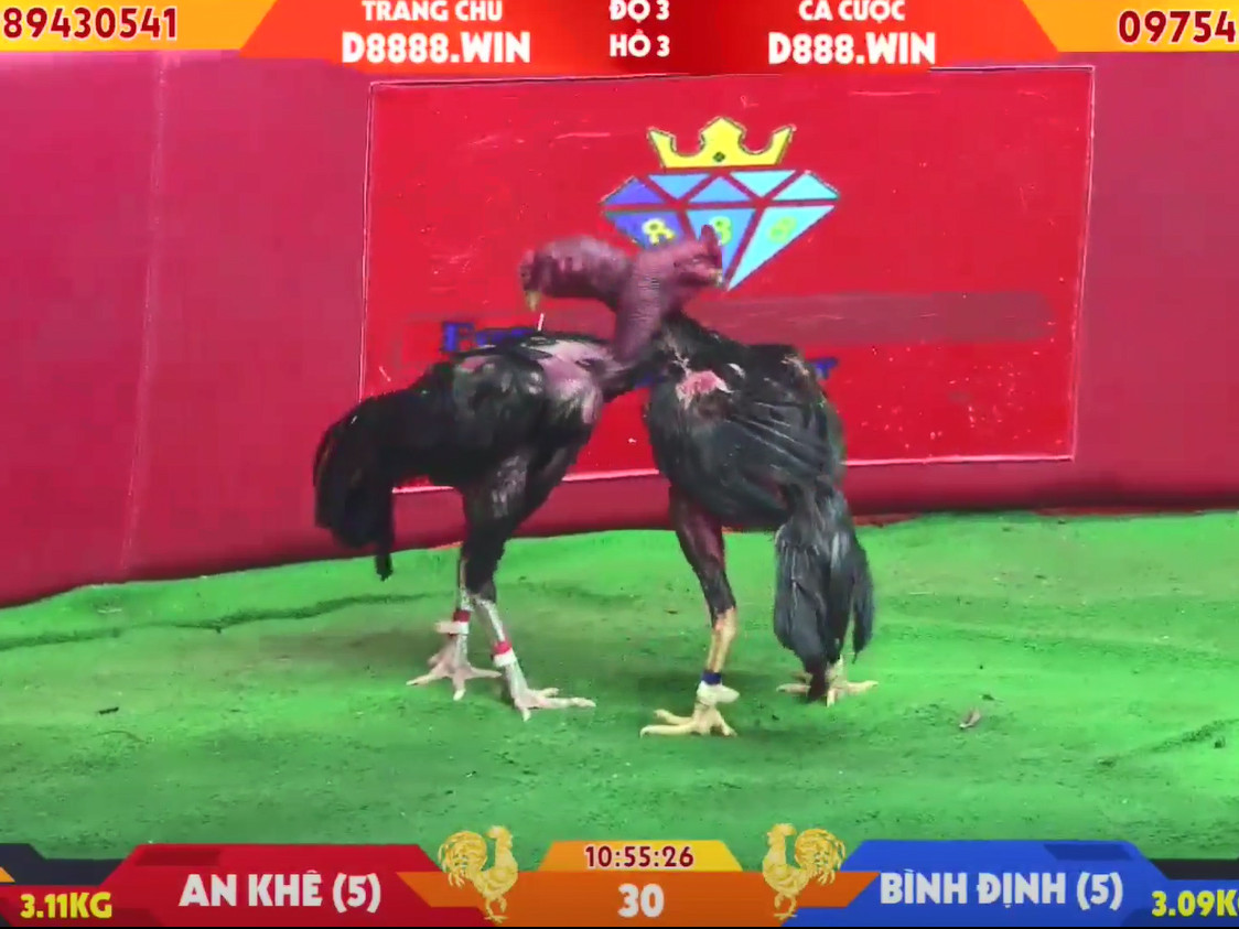 99win – Những quy tắc vàng để chiến thắng và bảo vệ tính công bằng