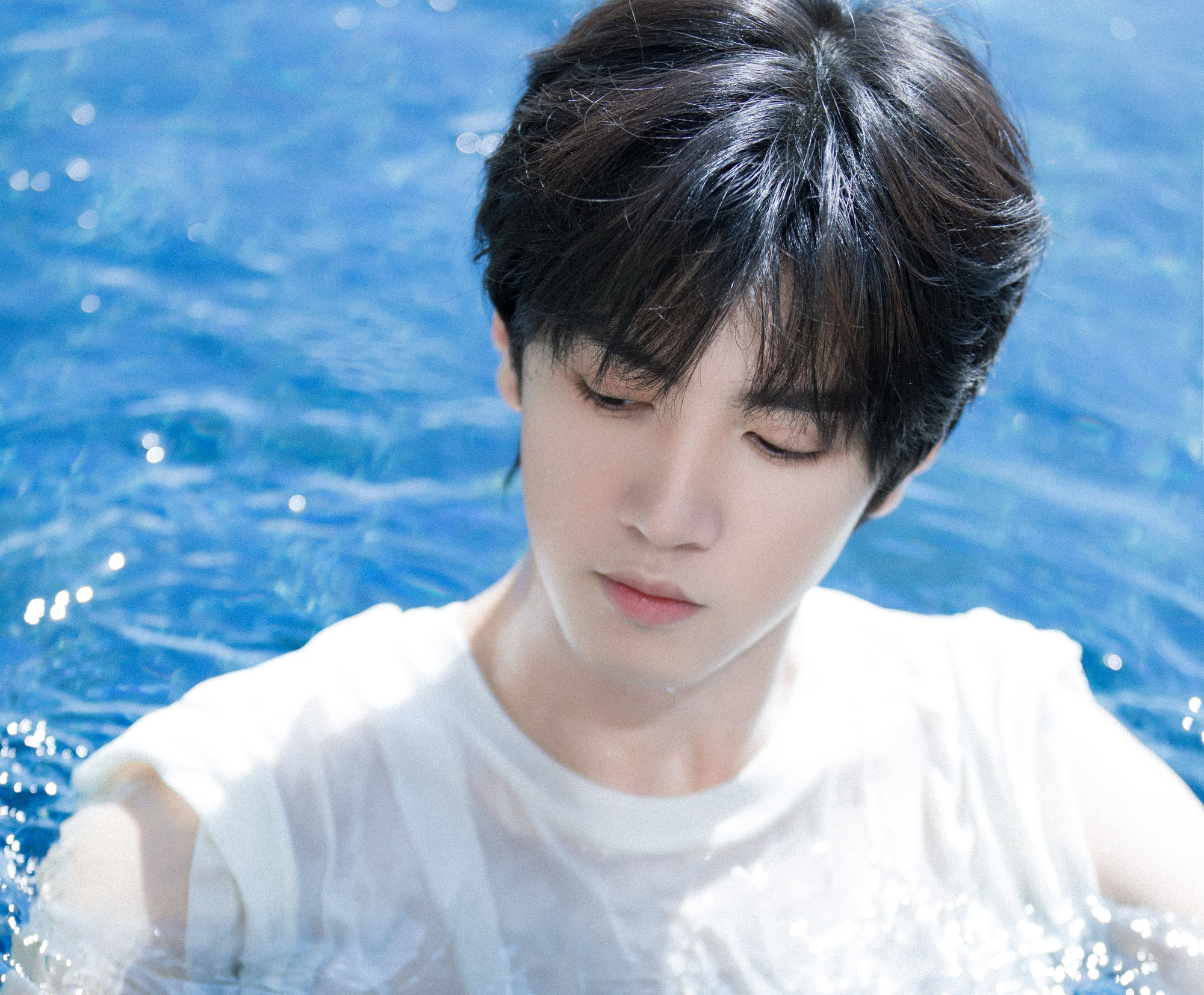 Trần Triết Viễn được nền tảng iQiYi dốc lòng lăng xê, do đó chèn ép Cúc Tịnh Y trong phim Tiên kiếm 4.