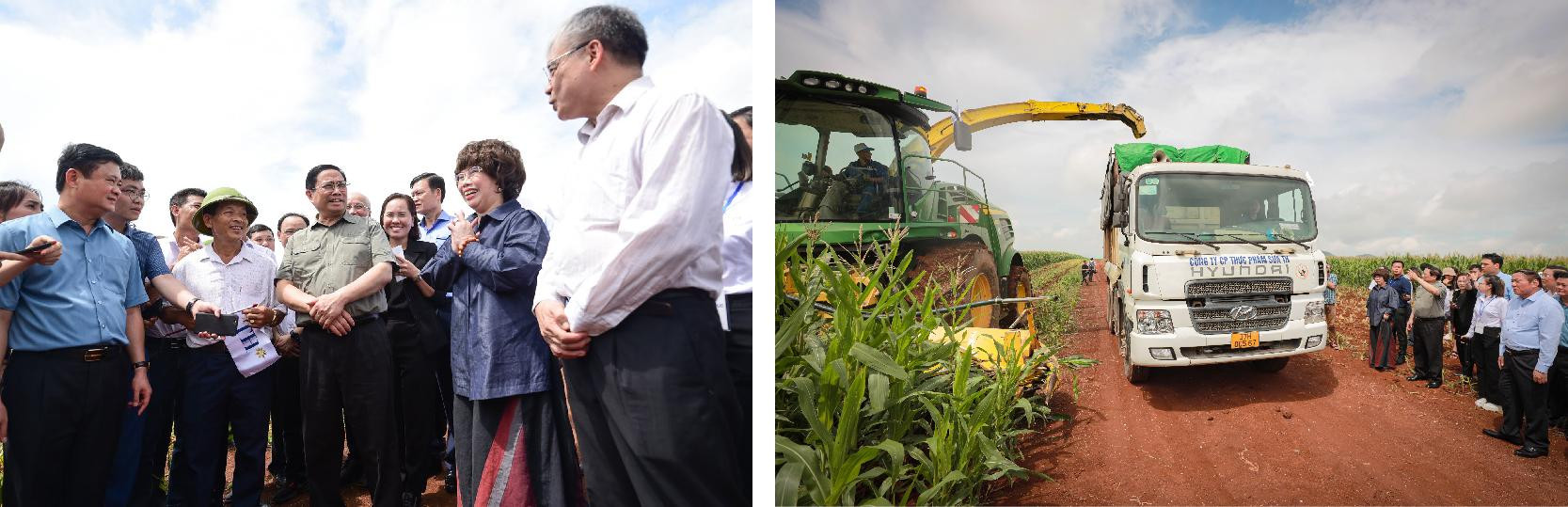 Thủ tướng thăm cánh đồng nguyên liệu của Tập đoàn TH Thủ tướng thăm cánh đồng nguyên liệu của Tập đoàn TH