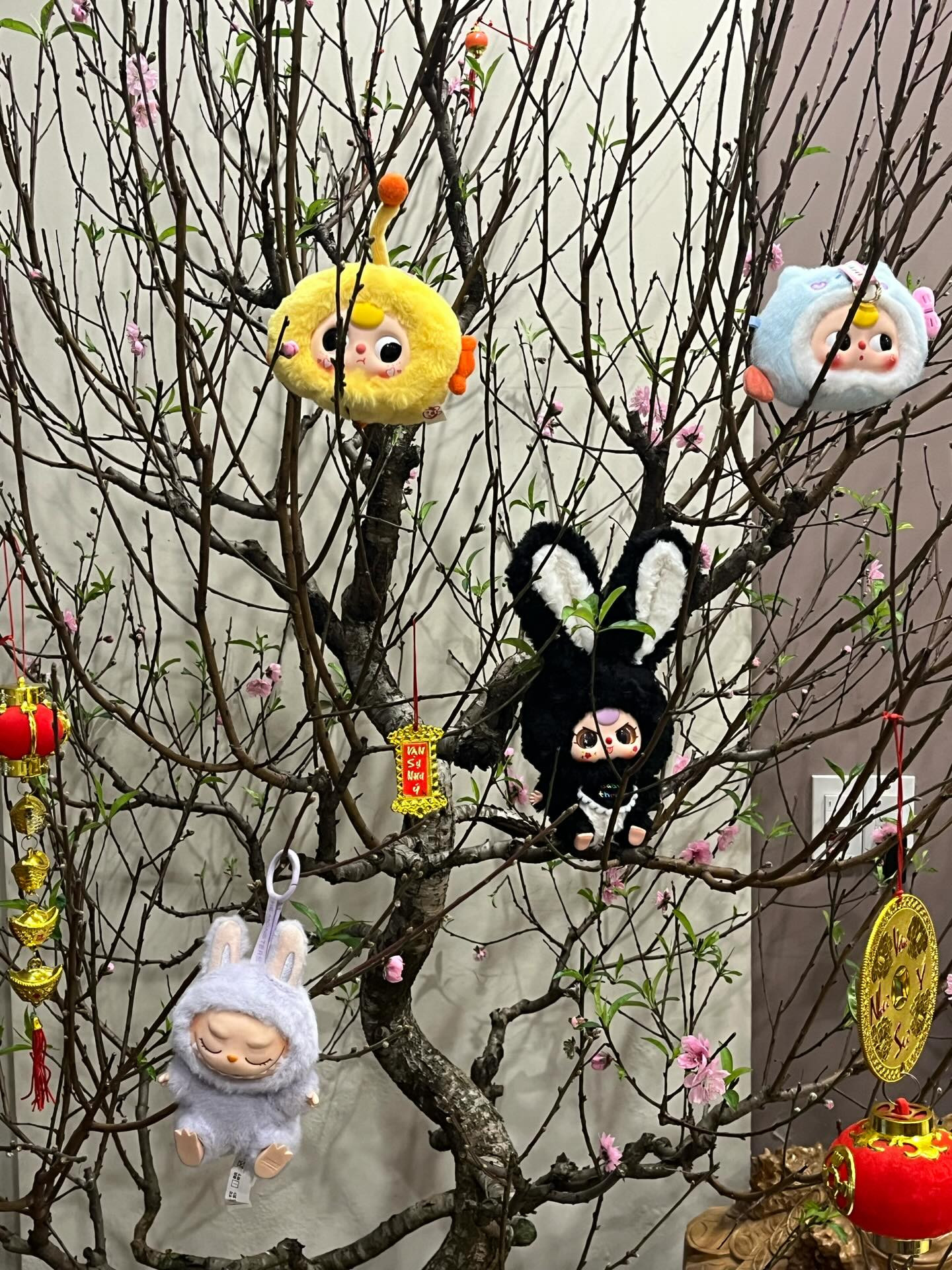 Một "cư dân" của "Threads city" chia sẻ "mấy đồ treo cây đào" được mẹ giao mua. - Ảnh: 0505.003__ Một "cư dân" của "Threads city" chia sẻ "mấy đồ treo cây đào" được mẹ giao mua. - Ảnh: 0505.003__