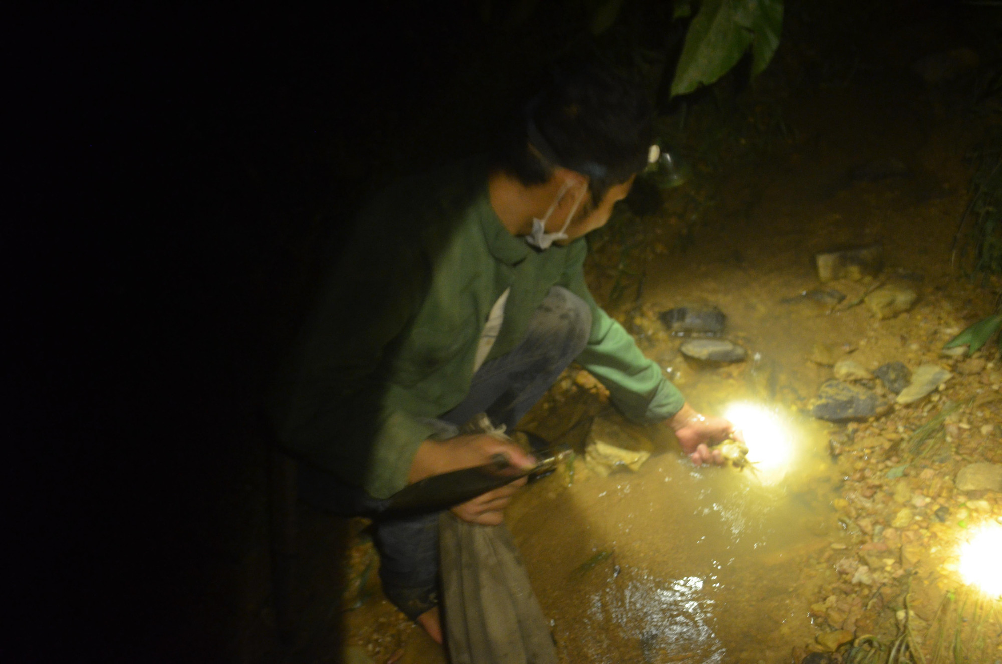 Anh Hà Thủy soi đèn bắt cua đá