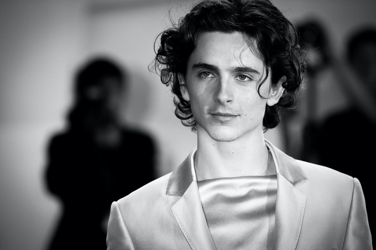 Timothée Chalamet, từ mỹ nam phim đồng tính thành ngôi sao khiến Hollywood  thay đổi | Báo điện tử Tiền Phong