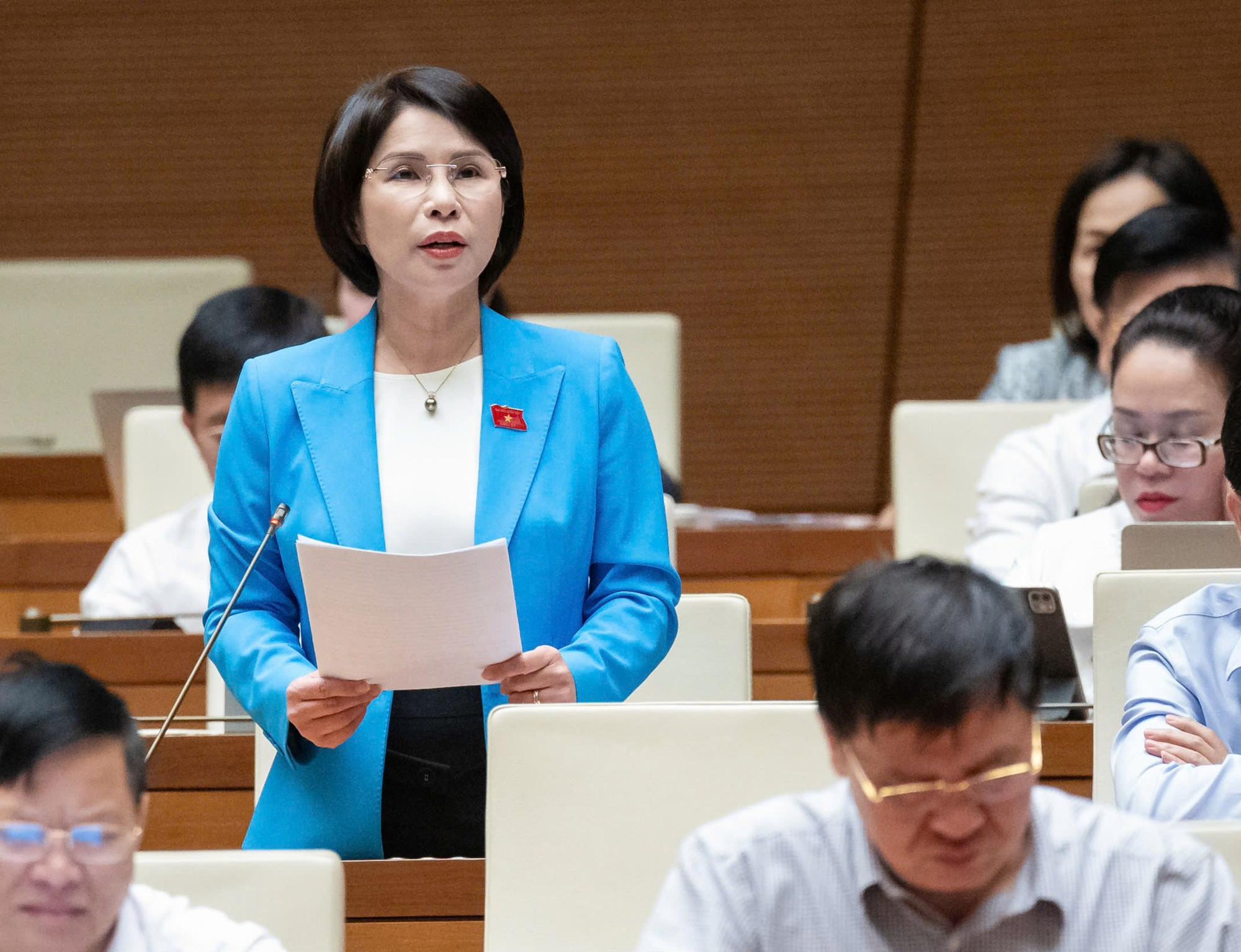 Đại biểu Quốc hội Trần Thị Nhị Hà.