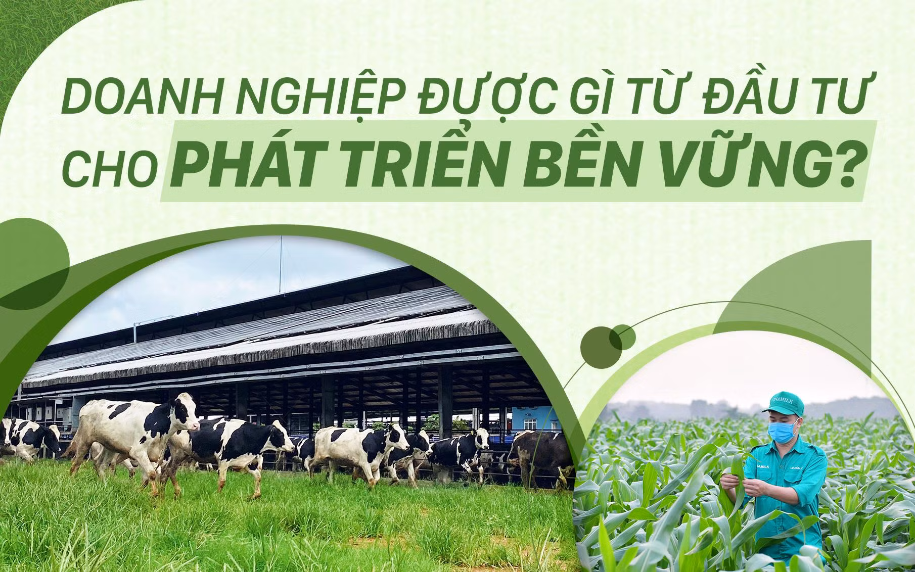 Doanh nghiệp được gì từ đầu tư cho phát triển bền vững?